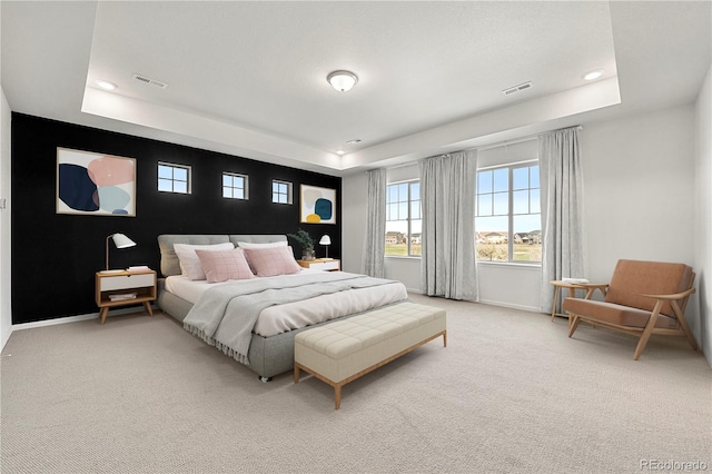 bedroom with carpet flooring and a tray ceiling