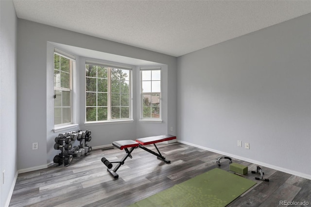 6794 W 98th Cir, Broomfield, CO 80021 - photo 27