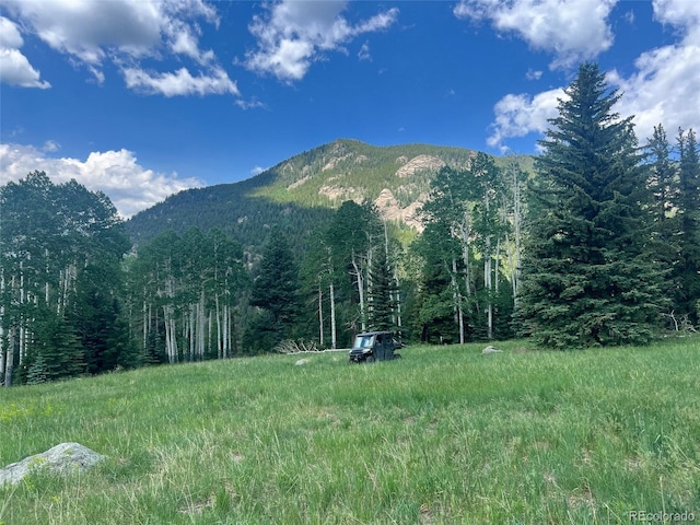 950 Corral Creek Rd, Evergreen, CO 80439 - photo 1