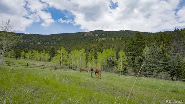 950 Corral Creek Rd, Evergreen, CO 80439 - photo 4