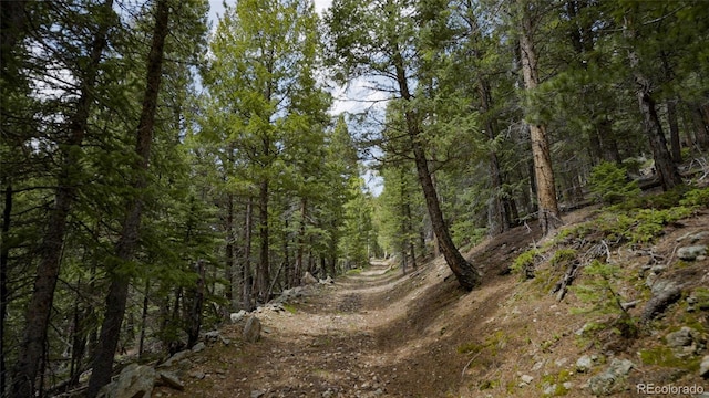 950 Corral Creek Rd, Evergreen, CO 80439 - photo 5