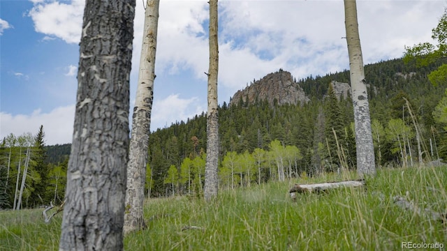 950 Corral Creek Rd, Evergreen, CO 80439 - photo 6