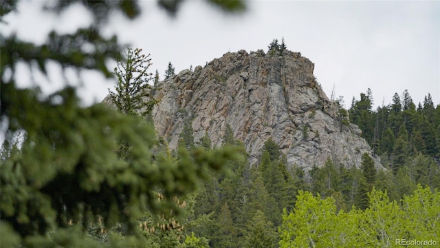950 Corral Creek Rd, Evergreen, CO 80439 - photo 7