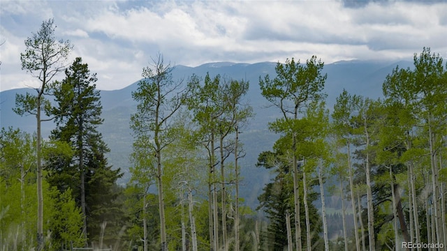 950 Corral Creek Rd, Evergreen, CO 80439 - photo 8