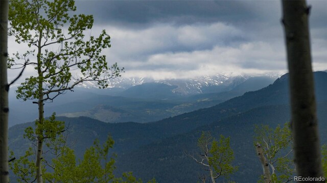 950 Corral Creek Rd, Evergreen, CO 80439 - photo 9