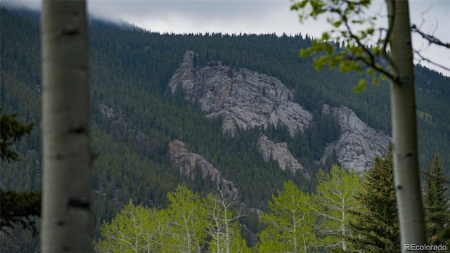 950 Corral Creek Rd, Evergreen, CO 80439 - photo 10