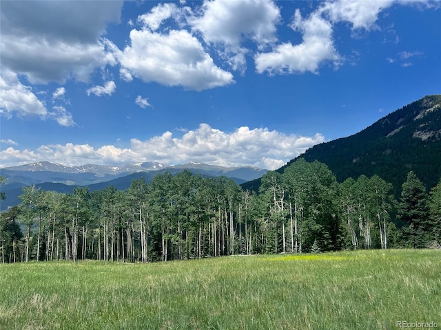 950 Corral Creek Rd, Evergreen, CO 80439 - photo 24