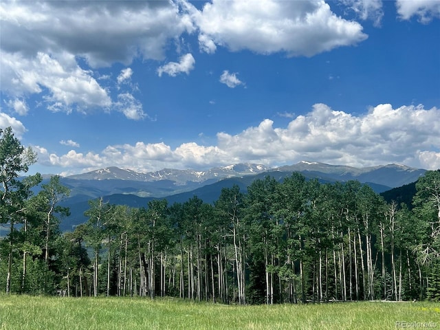 950 Corral Creek Rd, Evergreen, CO 80439 - photo 25