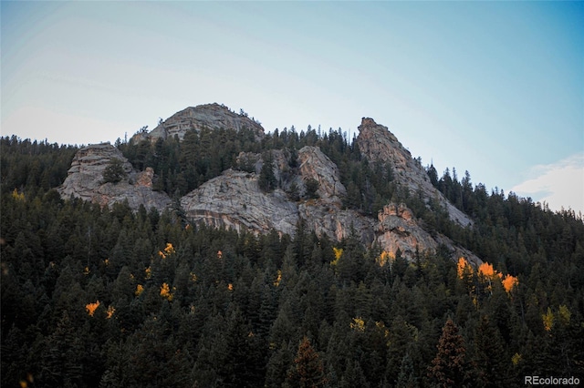 950 Corral Creek Rd, Evergreen, CO 80439 - photo 32