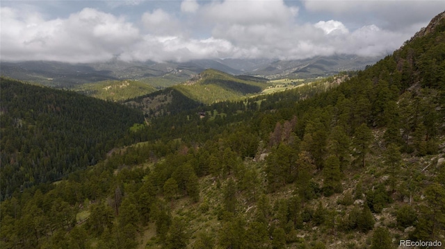 950 Corral Creek Rd, Evergreen, CO 80439 - photo 33