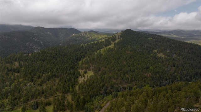 950 Corral Creek Rd, Evergreen, CO 80439 - photo 34