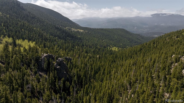 950 Corral Creek Rd, Evergreen, CO 80439 - photo 35