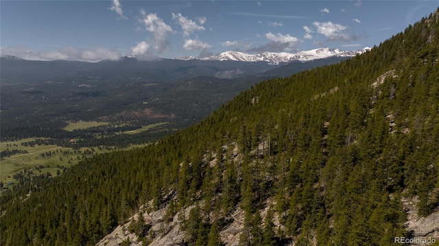 950 Corral Creek Rd, Evergreen, CO 80439 - photo 36