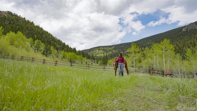 950 Corral Creek Rd, Evergreen, CO 80439 - photo 37