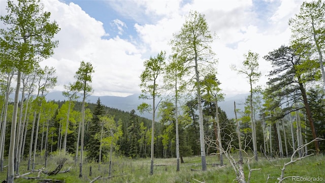 950 Corral Creek Rd, Evergreen, CO 80439 - photo 39