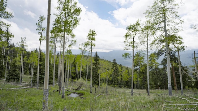 950 Corral Creek Rd, Evergreen, CO 80439 - photo 40