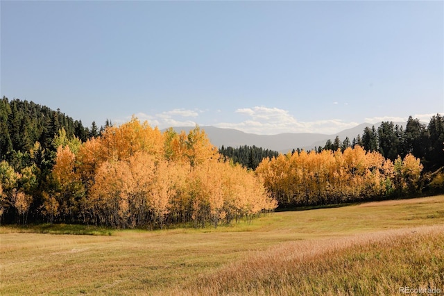 950 Corral Creek Rd, Evergreen, CO 80439 - photo 41