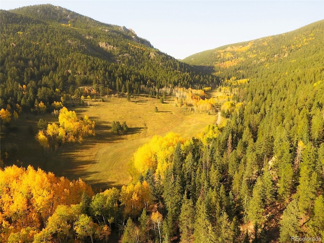 950 Corral Creek Rd, Evergreen, CO 80439 - photo 42