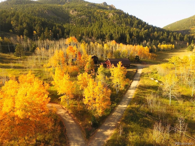 950 Corral Creek Rd, Evergreen, CO 80439 - photo 43