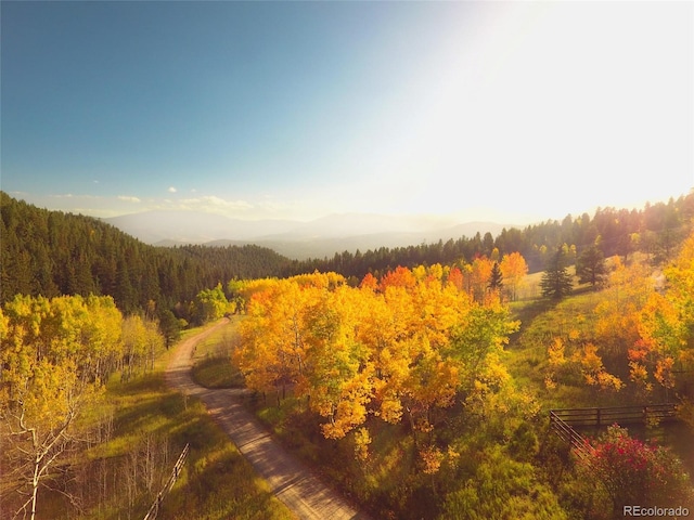 950 Corral Creek Rd, Evergreen, CO 80439 - photo 44