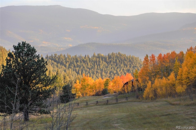 950 Corral Creek Rd, Evergreen, CO 80439 - photo 47
