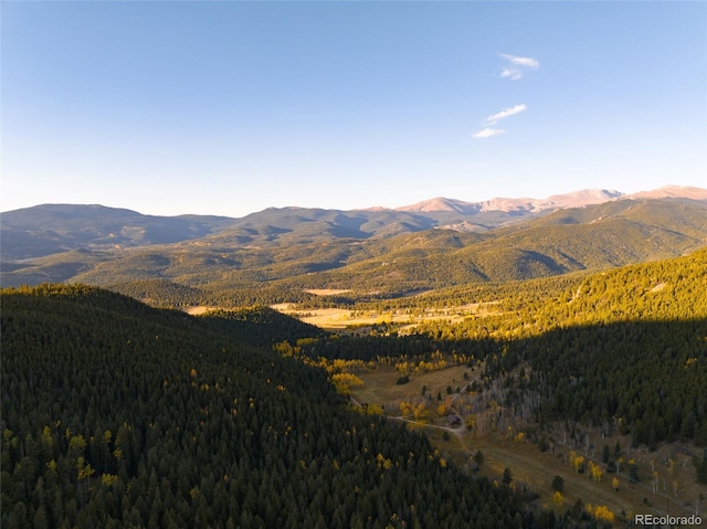 950 Corral Creek Rd, Evergreen, CO 80439 - photo 49