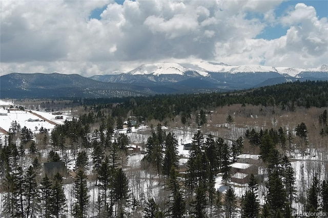 397 Will Scarlet Dr, Divide, CO 80814 - view of mountain background featuring a heavily wooded area