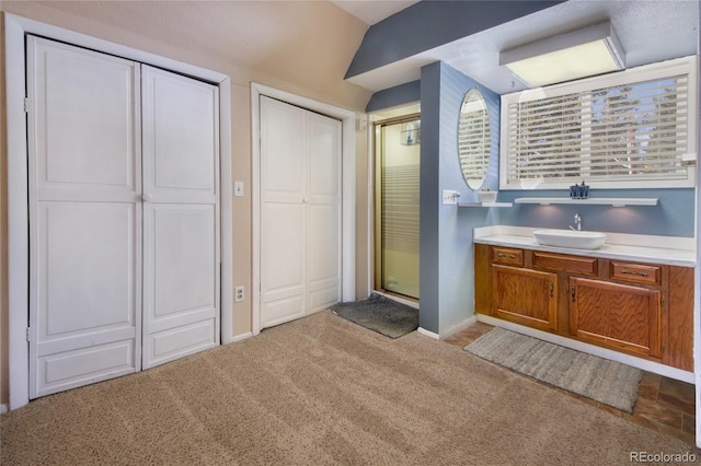 397 Will Scarlet Dr, Divide, CO 80814 - full bath featuring a stall shower, carpet floors, vanity, and baseboards