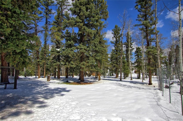 397 Will Scarlet Dr, Divide, CO 80814 - view of yard