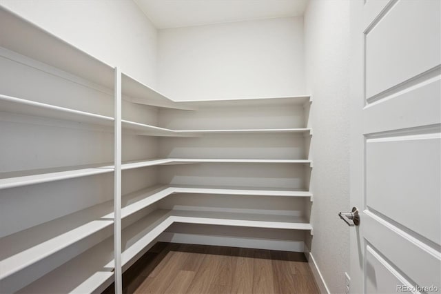 14337 Shasta Daisy Pt, Parker, CO 80134 - view of storage area