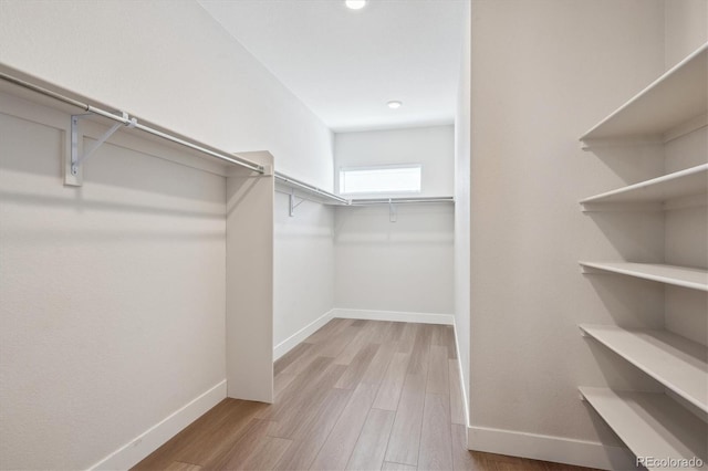 14337 Shasta Daisy Pt, Parker, CO 80134 - walk in closet with wood finished floors