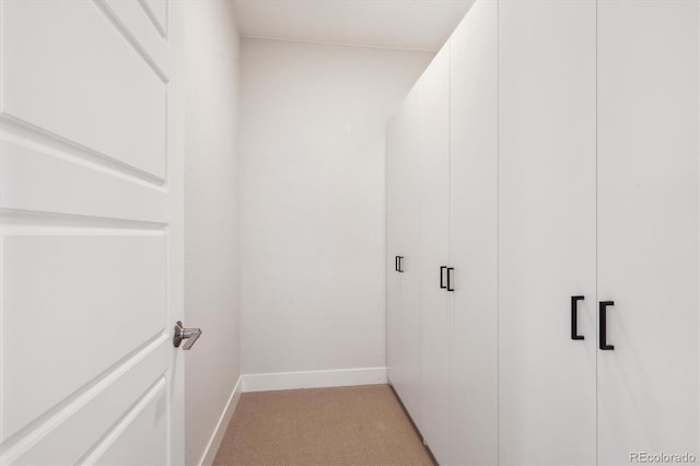 14337 Shasta Daisy Pt, Parker, CO 80134 - spacious closet with light colored carpet