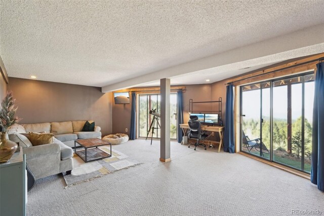102 Douglas Fir Ln, Woodland Park, CO 80863 - carpeted living room with a textured ceiling and recessed lighting