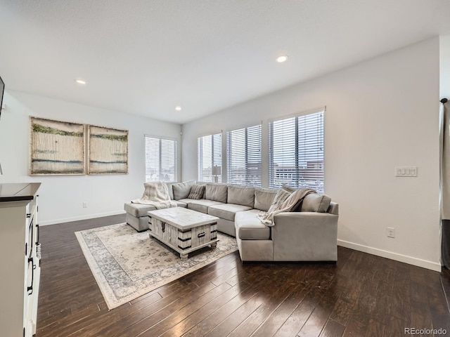 living room with dark hardwood / wood-style floors