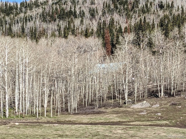 view of landscape