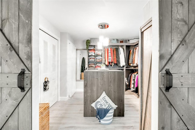 spacious closet with light wood finished floors