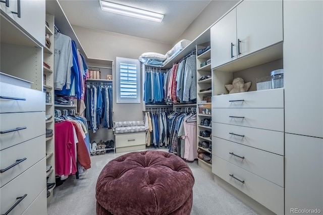 walk in closet featuring carpet floors