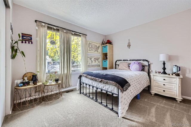 4205 E 106th Pl, Thornton, CO 80233 - photo 16