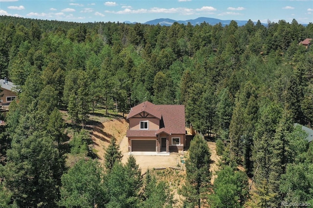71 Mt Elbert Dr, Florissant, CO 80816 - photo 4