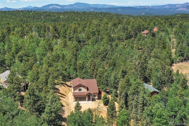 71 Mt Elbert Dr, Florissant, CO 80816 - photo 5