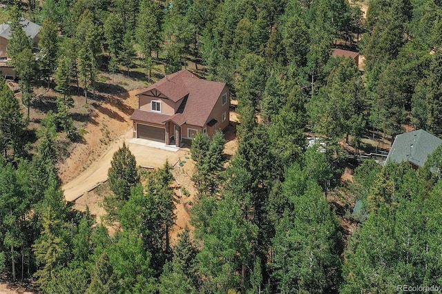 71 Mt Elbert Dr, Florissant, CO 80816 - photo 9