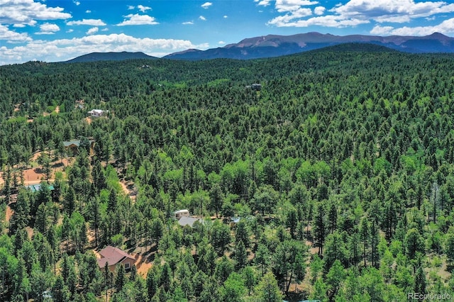 71 Mt Elbert Dr, Florissant, CO 80816 - photo 11