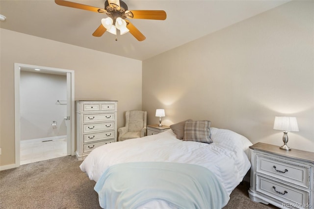 71 Mt Elbert Dr, Florissant, CO 80816 - photo 29