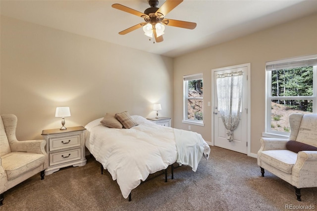 71 Mt Elbert Dr, Florissant, CO 80816 - photo 30
