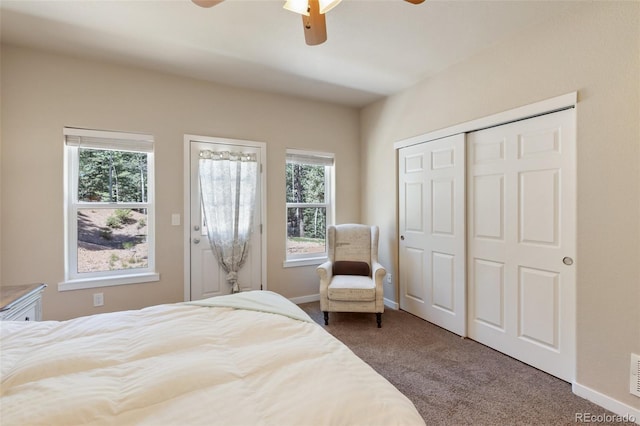 71 Mt Elbert Dr, Florissant, CO 80816 - photo 31