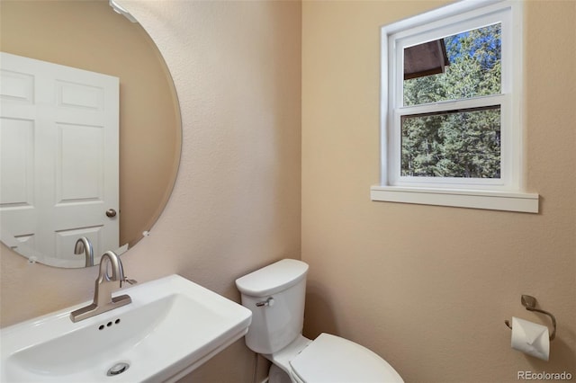71 Mt Elbert Dr, Florissant, CO 80816 - photo 34