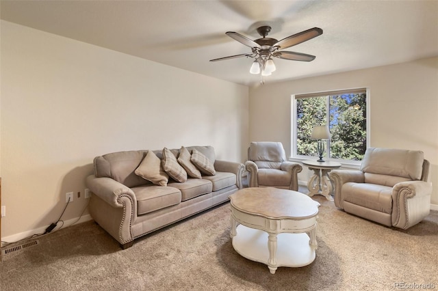 71 Mt Elbert Dr, Florissant, CO 80816 - photo 35
