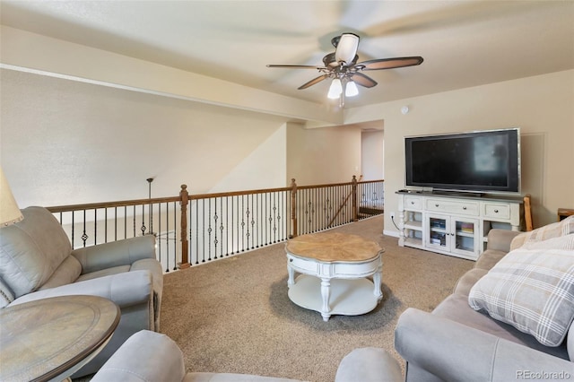 71 Mt Elbert Dr, Florissant, CO 80816 - photo 36
