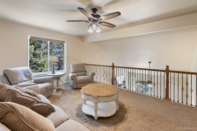 71 Mt Elbert Dr, Florissant, CO 80816 - photo 37