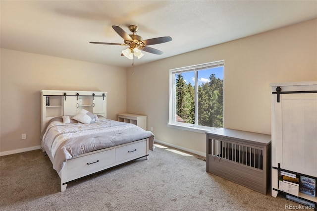 71 Mt Elbert Dr, Florissant, CO 80816 - photo 41